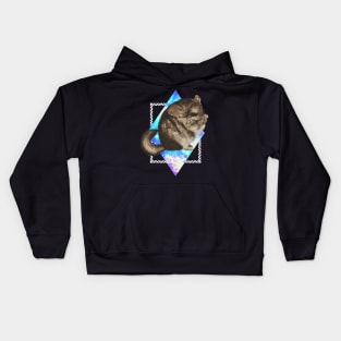 CHINCHILLA IN SPACE Kids Hoodie